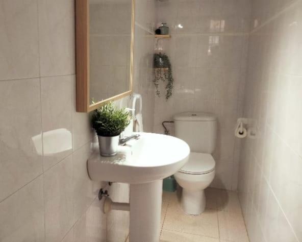La Casita Ξενοδοχείο Arona  Εξωτερικό φωτογραφία
